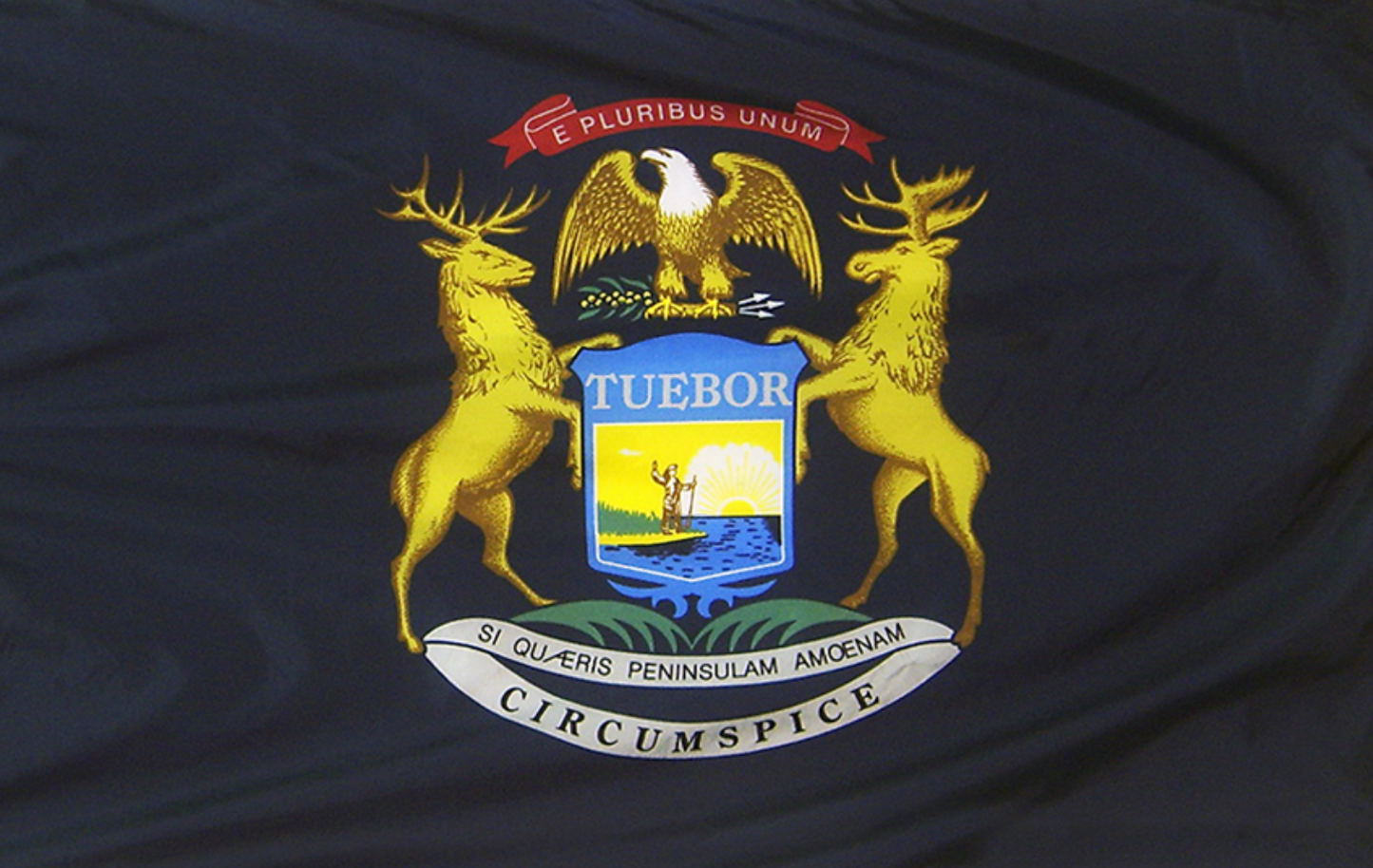 State of Michigan Flag